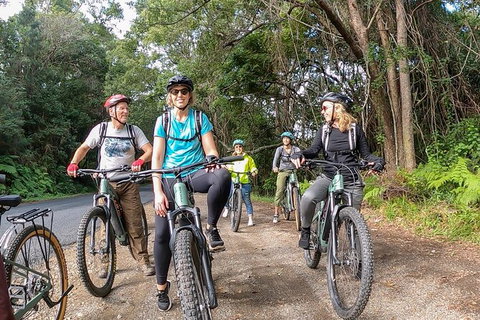 Guided E Bike Tour - Unicorn Falls & National Park - Melbourne Tourism 11