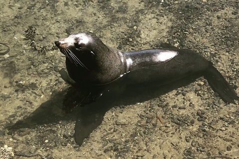 South Coast Photography Field Day - Melbourne Tourism 5