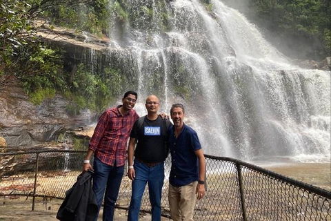 Blue Mountains Highlights & Wildlife Park - Melbourne Tourism 4