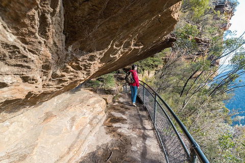 Blue Mountains Highlights & Wildlife Park - Melbourne Tourism 0