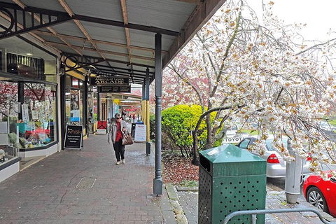 Blue Mountains Highlights & Wildlife Park - Melbourne Tourism 2