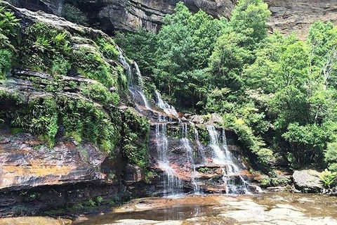Blue Mountains Highlights & Wildlife Park - Melbourne Tourism 8