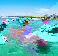 Half Day Dolphin Kayaking and Snorkeling Tour - Melbourne Tourism