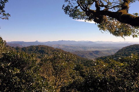 Gold Coast Lamington National Park And Tamborine Mountain 4WD Ecotour - Melbourne Tourism 6