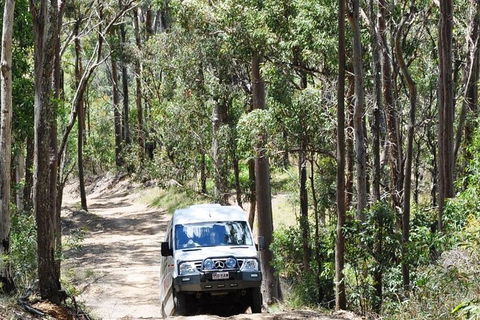 Gold Coast Lamington National Park And Tamborine Mountain 4WD Ecotour - Melbourne Tourism 1