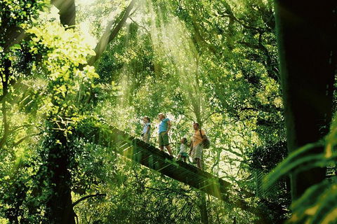 Gold Coast Lamington National Park And Tamborine Mountain 4WD Ecotour - Melbourne Tourism 0