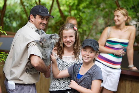 Hartley\'s Crocodile Adventure Half-Day Tour - Melbourne Tourism 3