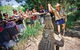 Hartley\'s Crocodile Adventure Half-Day Tour - thumb 5