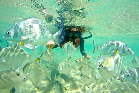 Half-Day Kayak, SUP And Snorkel Tour At Wave Break Island With Lunch - Melbourne Tourism 9