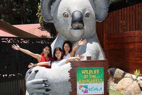 Kuranda Koala Gardens And Birdworld Admission Tickets - Melbourne Tourism 1