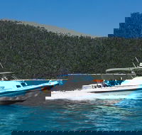 Private Standard Charter Experience in Whitsundays - Melbourne Tourism