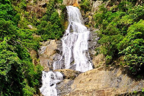 Private Half Day Tour: Exclusive World Heritage Rainforest And Waterfall Tour From Cairns - Melbourne Tourism 5