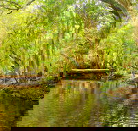 Private Half Day Tour Exclusive World Heritage Rainforest and Waterfall Tour from Cairns - Melbourne Tourism