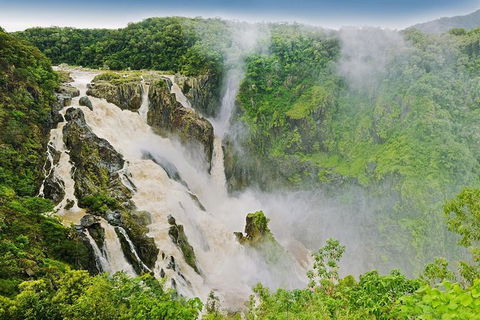 Private Half Day Tour: Exclusive World Heritage Rainforest And Waterfall Tour From Cairns - Melbourne Tourism 3