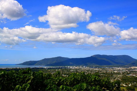 Private Half Day Tour: Exclusive World Heritage Rainforest And Waterfall Tour From Cairns - Melbourne Tourism 1