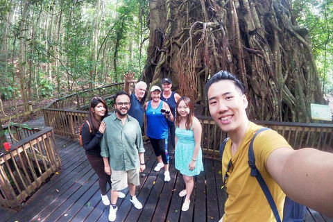 Private Half Day Tour: Exclusive World Heritage Rainforest And Waterfall Tour From Cairns - Melbourne Tourism 2