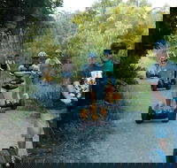 Gold Coast Segway Safari Adventure 60-minutes - Melbourne Tourism