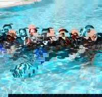 3-Day Open Water Certification Course on the Gold Coast - Melbourne Tourism