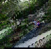 4-Day Cairns with Great Barrier Reef and Daintree Rainforest - Melbourne Tourism