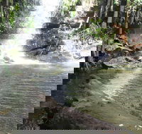 The Gold ExperiencePrivate Day Tour In Lamington National Park or Mt Tambourine - Melbourne Tourism