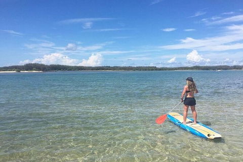 Early Morning Weekend Paddleboard Special - Melbourne Tourism 4
