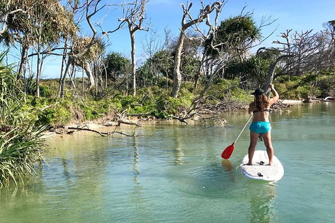 Early Morning Weekend Paddleboard Special - Melbourne Tourism 5