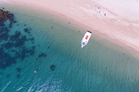 Fozzy\'s 3 Hour, 3 Island Tour - Melbourne Tourism 0
