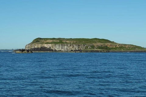 Guided Snorkel With Fish Tour At Cook Island Aquatic Reserve - Melbourne Tourism 2