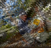 4-Day Australian Outback Tour from the Gold Coast to Sydney - Melbourne Tourism