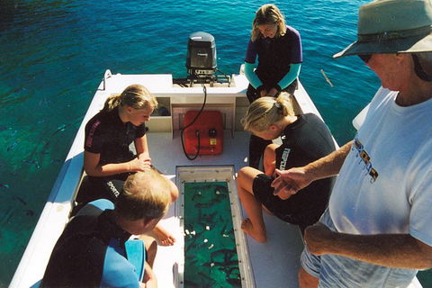 Great Barrier Reef Luxury Expedition Cruise Cabin Booking 7 Days 6 Night - Melbourne Tourism 1