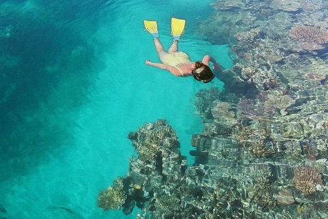 Great Barrier Reef Luxury Expedition Cruise Cabin Booking 7 Days 6 Night - Melbourne Tourism 8