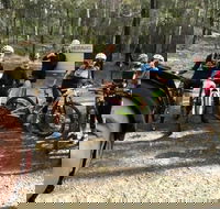 Gold Coast Mountain Bike Tour - Melbourne Tourism