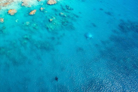 Premium Private Charter - Melbourne Tourism 5
