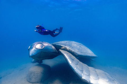 Premium Private Charter - Melbourne Tourism 9