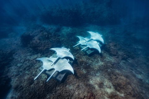 Premium Private Charter - Melbourne Tourism 8