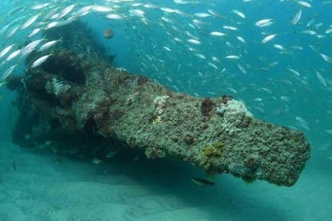 Dive The Scottish Prince Shipwreck - Melbourne Tourism 1