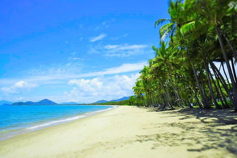 Airport Transfer - Palm Cove, Kewarra Beach & Trinity Beach To Cairns Airport - Melbourne Tourism 2