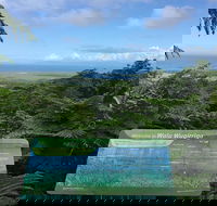 Daintree Luxury Limousine Tour - Full Day - Melbourne Tourism
