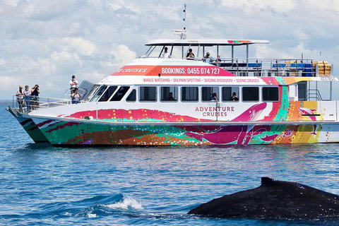 Half-Day Whale Watching In Urangan - Melbourne Tourism 1