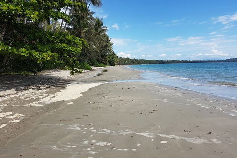 Private Transfers - Cairns Airport To Palm Cove - Melbourne Tourism 1