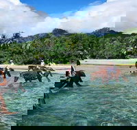 Afternoon Beach Horse Ride in Cape Tribulation - Melbourne Tourism