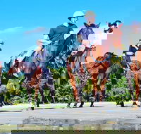 Mid-Morning Beach Horse Ride in Cape Tribulation with Pick Up - Melbourne Tourism