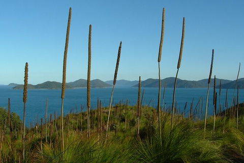 7-Day Private Sea Kayaking In Whitsundays - Melbourne Tourism 8
