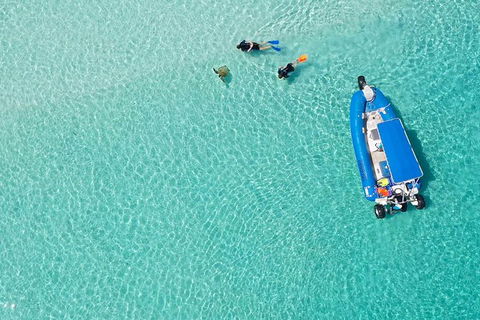 Remote Fraser Island & Whale Experience - Melbourne Tourism 0