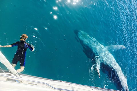 Remote Fraser Island & Whale Experience - Melbourne Tourism 4