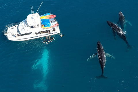 Remote Fraser Island & Whale Experience - Melbourne Tourism 3
