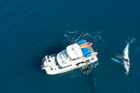 Remote Fraser Island & Whale Experience - Melbourne Tourism 1