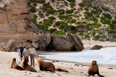 Kangaroo Island Scenic Trail Tour - Melbourne Tourism 1