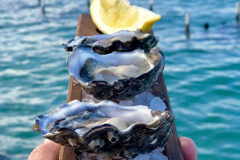 Coffin Bay Oysters, Ocean & Nature Tour - Melbourne Tourism 0