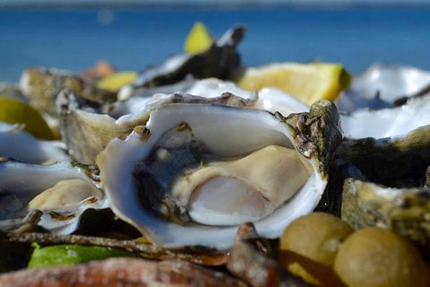 Coffin Bay Oysters, Ocean & Nature Tour - Melbourne Tourism 8